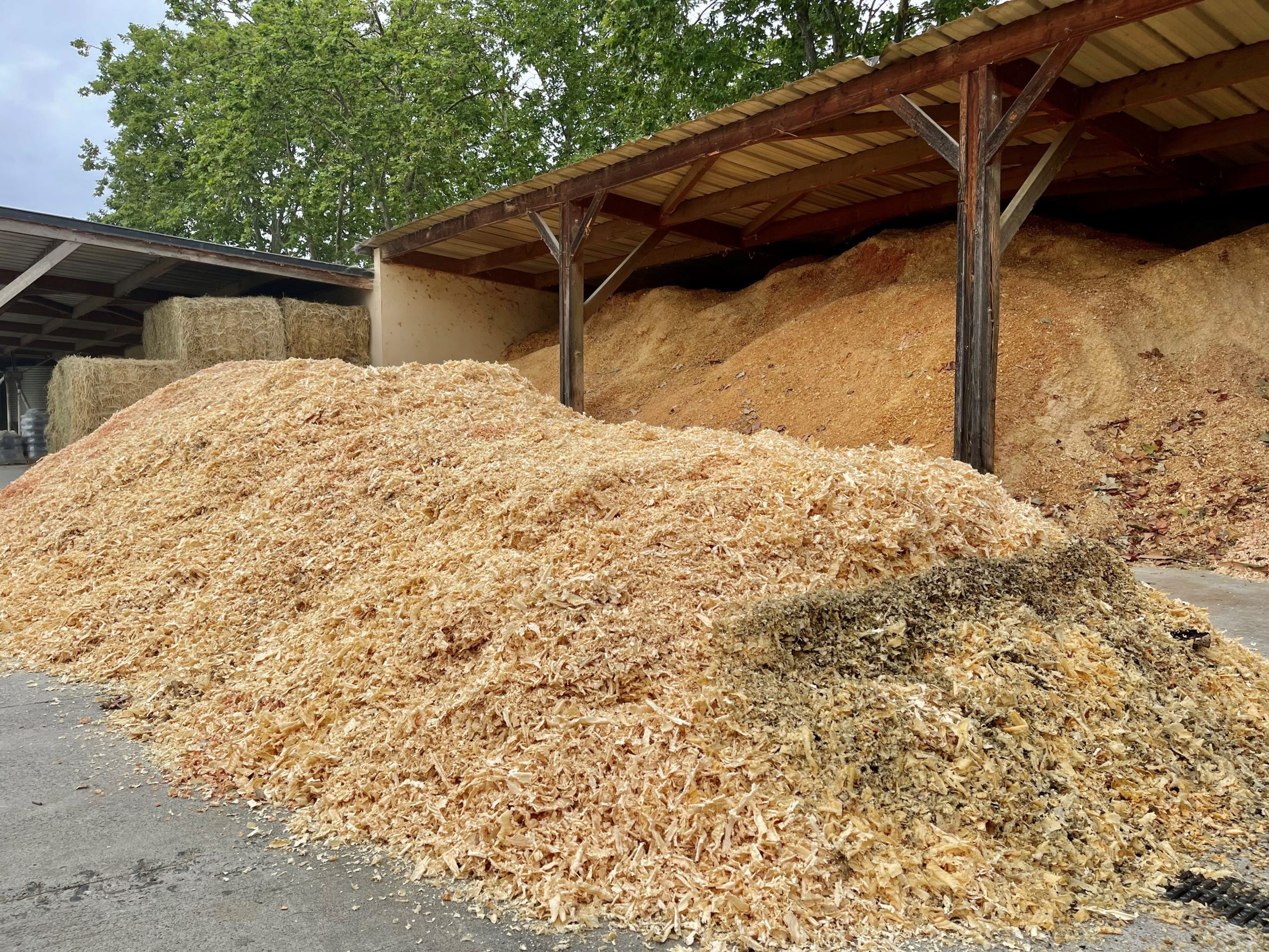 Livraison de copeaux de bois au haras de la gesse - revalorisation